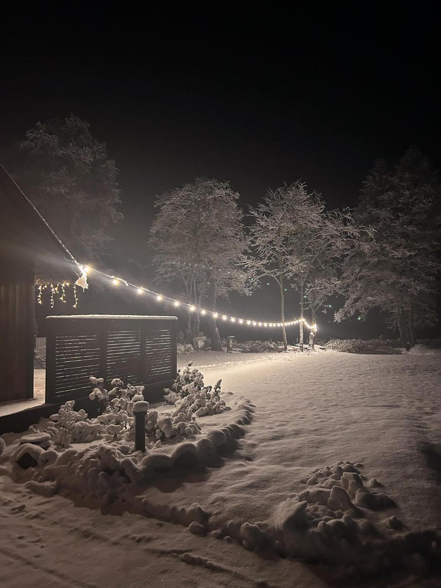 Puhkemaja-1 *